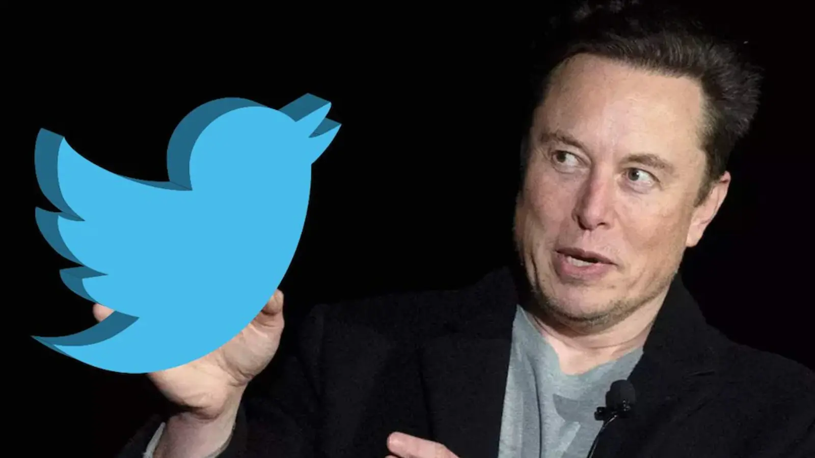 “gold Grey And Blue” Elon Musk Announces Three Different Color Verification Badges For 5727