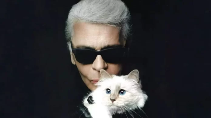 Choupette The Cat: Everything You Need To Know About Karl Lagerfeld's Pet That Enjoys A Luxury Lifestyle