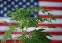 In some American states, it is illegal to possess weed