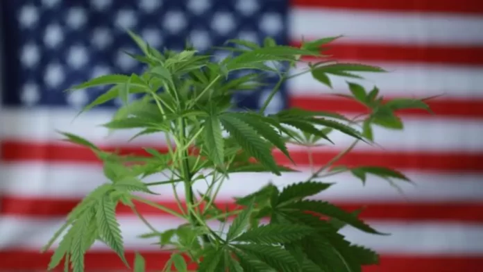 In some American states, it is illegal to possess weed